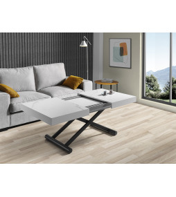 Mesa Activa de Indesan
